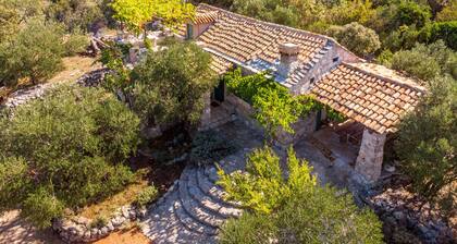 House Lavanda