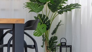 Une pièce moderne avec une table en bois, des chaises noires, une grande plante verte et une lanterne noire.