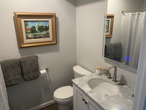Bathroom features a toilet, sink, and shower curtain.