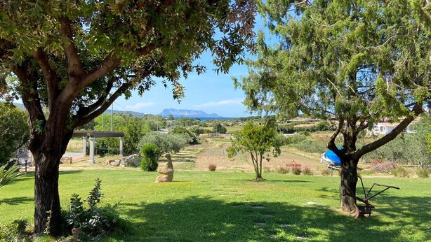 Un espacio al aire libre con césped, árboles y una vista despejada de montañas distantes.