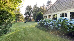 Casa, letti multipli (Quaint Water Mill Cottage) | Parco della struttura