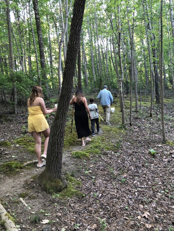 A forested area with a dirt path. - Natural Splendor; Ultimate Off Grid Experience! (Pittsboro)