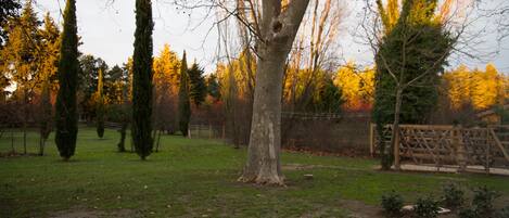 Property grounds