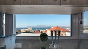 Una cocina con vistas al mar y a las montañas, una planta en maceta y utensilios de cocina.