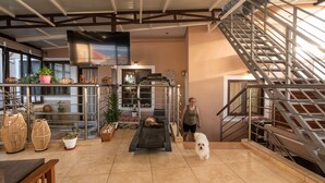 Un espacio interior amplio con una cinta de correr, un perro y una escalera.