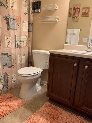 Combined shower/bathtub, hair dryer, towels, soap