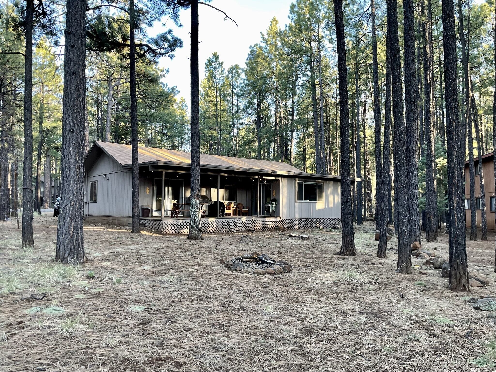 Cute, cozy, updated cabin in the pines