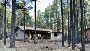 A cabin with a porch, surrounded by tall pine trees. - Cute, cozy, updated cabin in the pines (Pinetop)