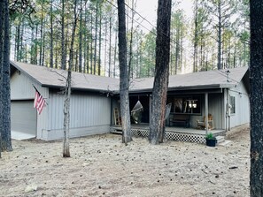 A cabin with a porch, a hanging chair, and a ladder.