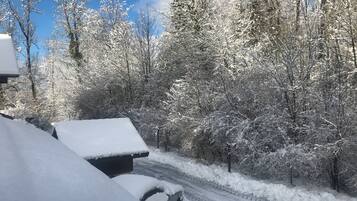 Paesaggio innevato con una strada che si inoltra in una foresta.