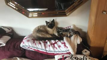 Un gato descansando sobre un cojín blanco y rojo con estampado en un sofá.