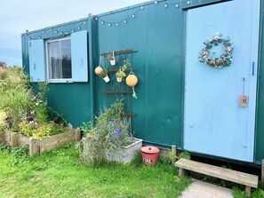 A small, green-painted building with a window, a door, and a small garden area with plants and a fire bucket. - Tregantle Farm Eco Glampsite Super Safari Cabin (Torpoint)
