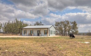 A single-story building with a metal roof, a front porch, and a cow grazing nearby. - Hill Country-Fire Pit & Hot Tub! (Fredericksburg)