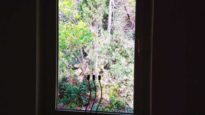 Une fenêtre donnant sur une forêt dense.