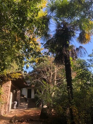 Un bâtiment rustique avec une façade en pierre, un porche en bois et un grand arbre au premier plan.