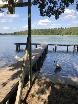 In Strandnähe, Liegestühle