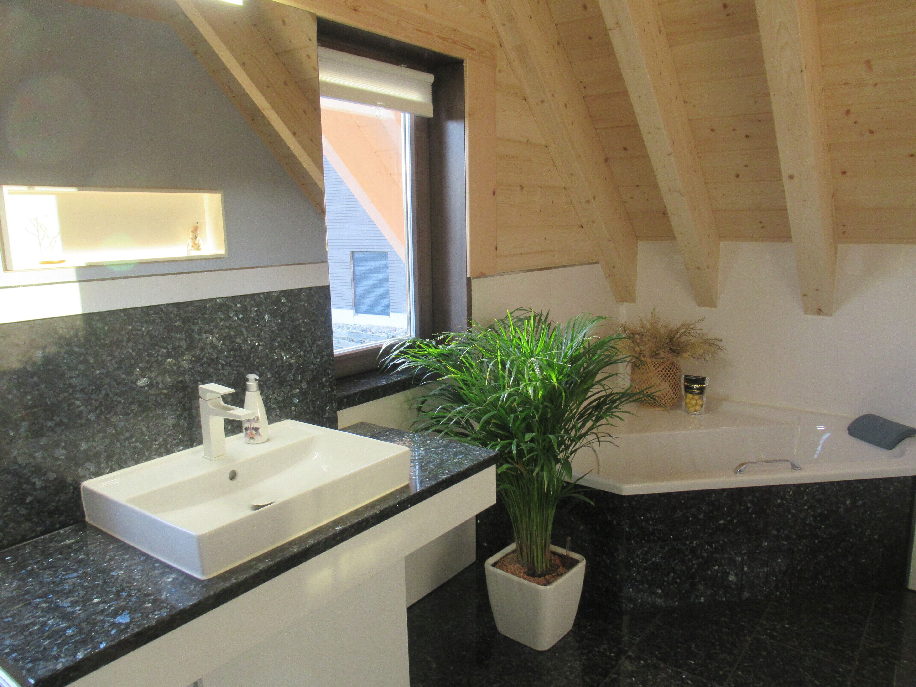 Ein modernes Badezimmer mit einer Granitplatte, einem weißen Waschbecken, einer Topfpflanze und einer Badewanne.
