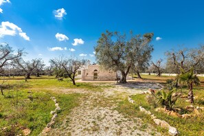 Property grounds - Trullo Fico by Perle di Puglia (San Michele Salentino)