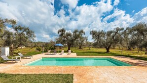 A rectangular swimming pool with a tiled deck, surrounded by grass and trees.