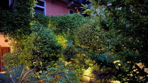 Un giardino con diverse piante e arbusti, un vialetto e un edificio sullo sfondo.