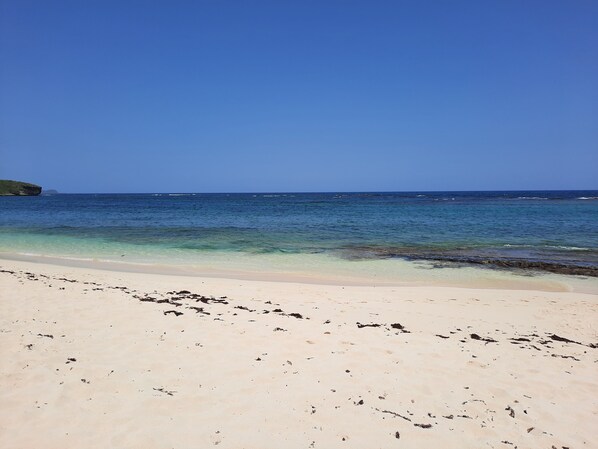 بالقرب من الشاطئ