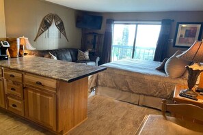 Smart TV, DVD player - Ski In & Out Mountain & Firework Views Studio (Wintergreen Resort)