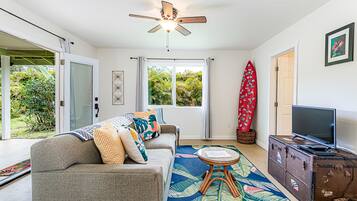 Smart TV, DVD player