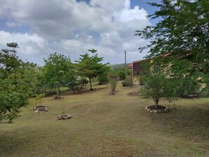 المنطقة المحيطة بالمنشأة