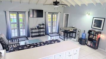 Smart TV, DVD player, books