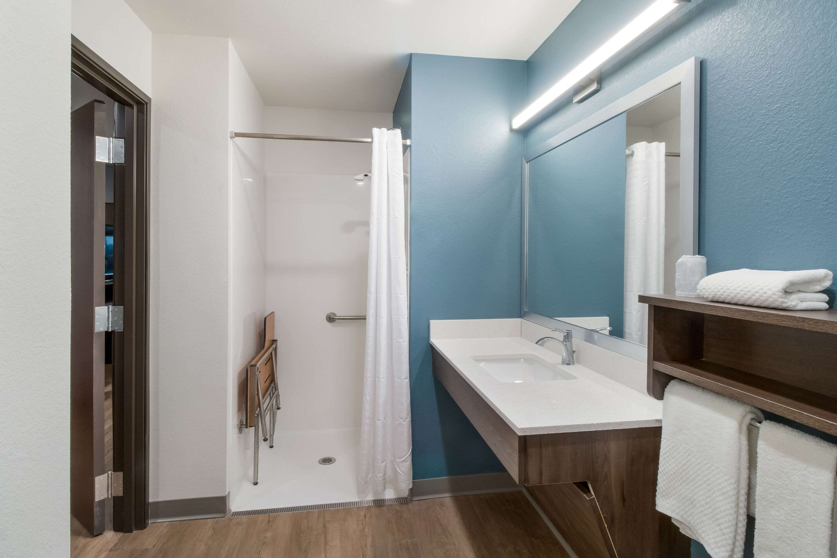 room, 1 queen bed, accessible, non smoking (roll-in shower) | bathroom