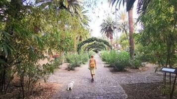 Terrein van de accommodatie