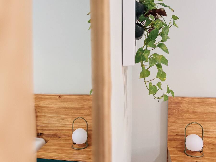 Una habitación con dos camas de madera con colchas verdes, una pared blanca y una planta colgando de la pared.