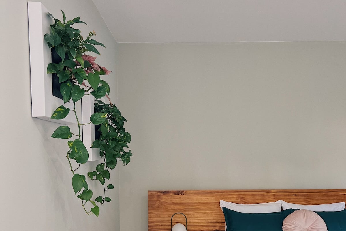 A bedroom with a wooden headboard, a bedside table with a spherical lamp, a green plant, and a white bedspread.