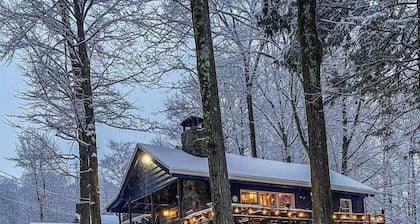 Cozy Lake View Cabin on Lake Wallenpaupack with beach area access!!!