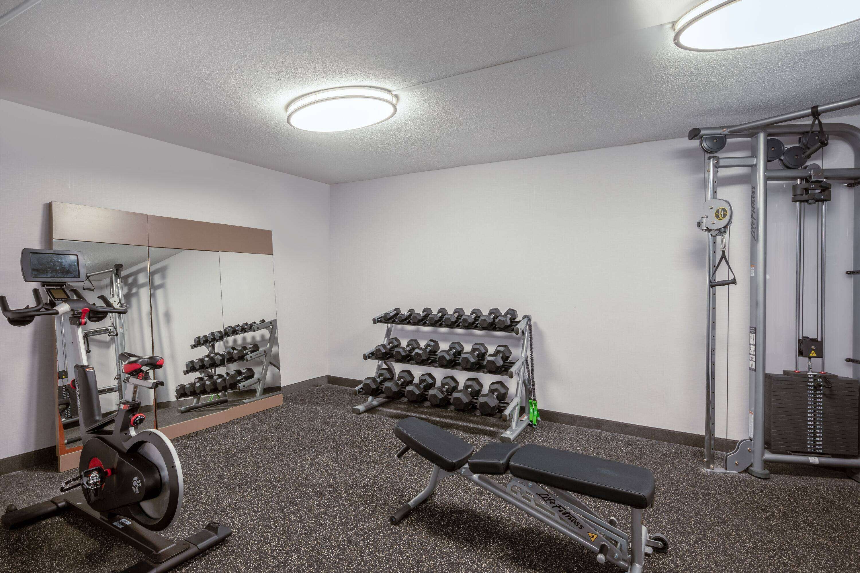 A gym with exercise equipment, a bench, and a rack of dumbbells.