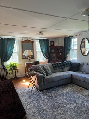 Smart TV, computer monitors, printers