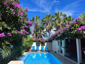 Un área de piscina con agua azul, rodeada de palmeras y flores moradas. Hay sillas reclinables azules a lo largo de la piscina.