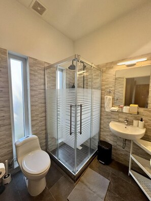 A modern bathroom with a glass-enclosed shower, a toilet, a sink, and a mirror.