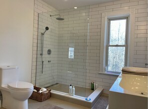 Bathtub, hair dryer, towels, soap
