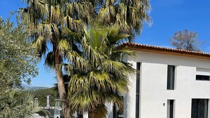Una casa moderna con entrada pavimentada, una palmera y una piscina.