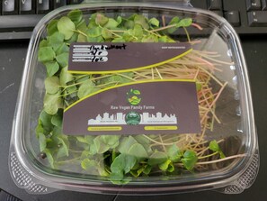 Miscellaneous - Cozy RV - Apple Orchard, On the broad river! Kid friendly! Very Clean!  (Black Mountain)