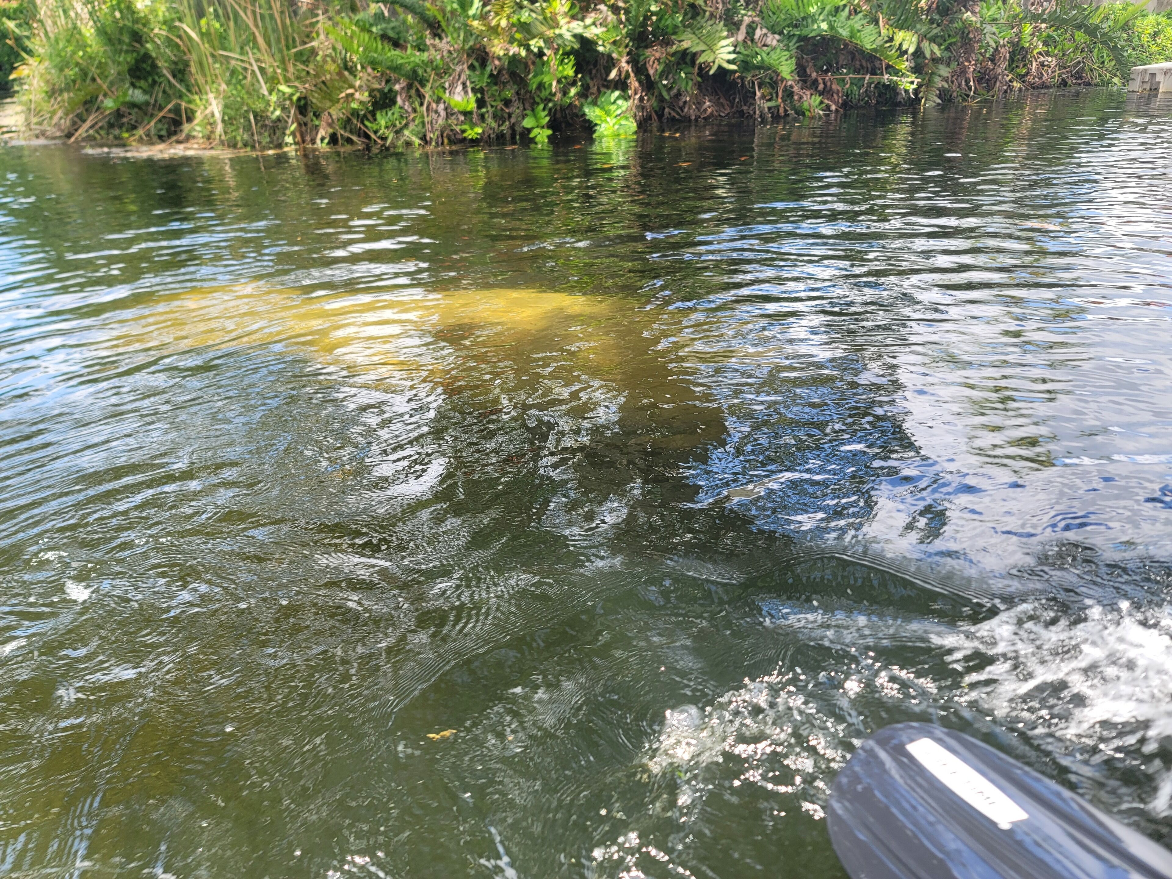 Une rivière paisible, à l’eau claire, bordée de végétation.