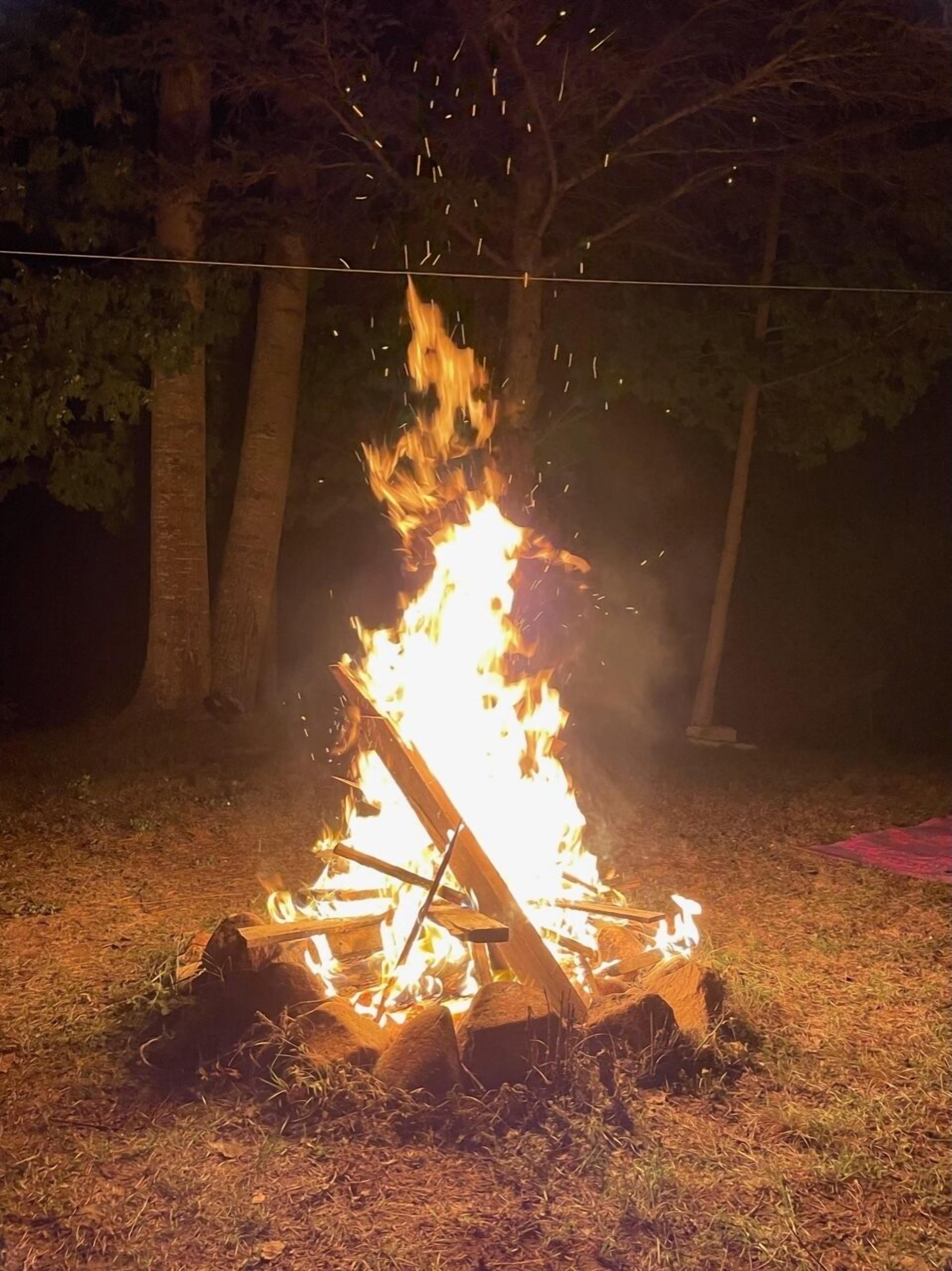 Una fogata con leña y ramas dispuestas en forma de tipi, rodeada de hierba y árboles.