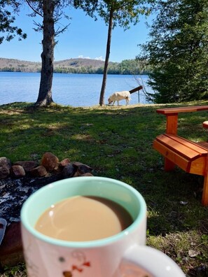A lakeside view with a dog near the water, a picnic table, and a mug in the foreground. - Cozy, modern cottage lots of space, perfect waterfront for swimming / water fun! (Barry's Bay)
