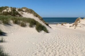 A sandy beach with dunes and a clear view of the ocean.