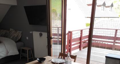 Gßte du silberwald avec spa-jacuzzi / vallée de Munster