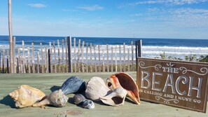 Beach nearby, sun loungers, beach towels - Charming Spacious Studio - Close to Beach.  Many Thoughtful Extras! (Nags Head)