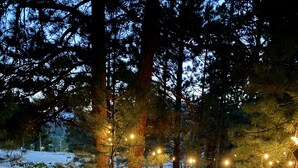 An outdoor seating area with a fire pit, surrounded by trees and string lights. - Cozy cabin with Hot tub Fireplace Fire pit Full kitchen Close to town and RMNP. (Estes Park)