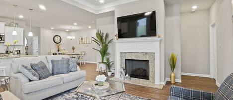 Smart TV, fireplace, books