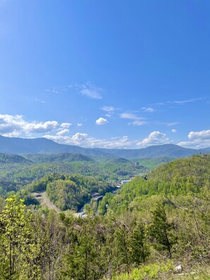 Miscellaneous - Elite Deluxe Unit Right in the National Park in between Pigeon Forge /Gatlinburg (Gatlinburg)